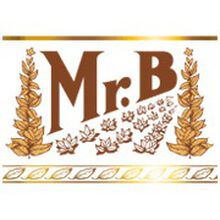 Mr B 