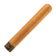 Cigar Rocky Patel Edge Robusto Connecticut Glass Tube Single